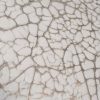 Cracked gesso