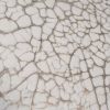 75538107 2349223138724218 4597565565692607257 n 100x100 - Cracked gesso