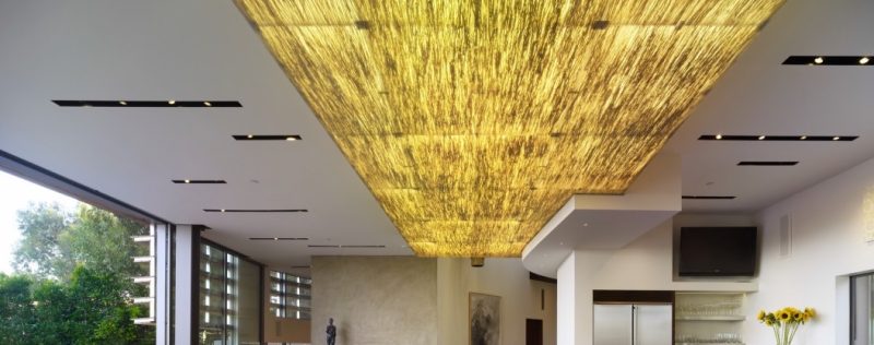 resin ceiling 1 800x316 - What's Decorative Ecoresin Panels Laminated With Fabric, Organic, Metal, Glass, Stone, Gold leaf, Textured, Colors, Finishes