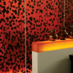 gallery wall 300x300 - THREE DIAMENSIONAL DYNAMIC ACRYLIC 