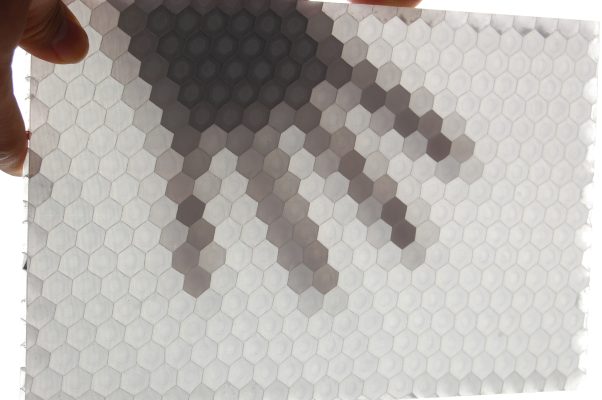 DSC 0584 602x400 - Top sales Luxface China translucent honeycomb PC cores resin panels PETG PMMA for decorations