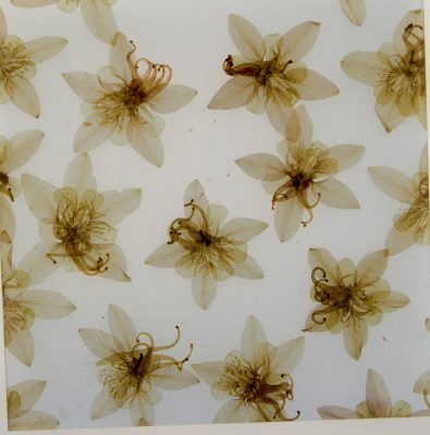 DSC 6903b 395x400 - Liquid metal Real Metal Luxmetal Wholesale luxface 3mm color acrylic sheet