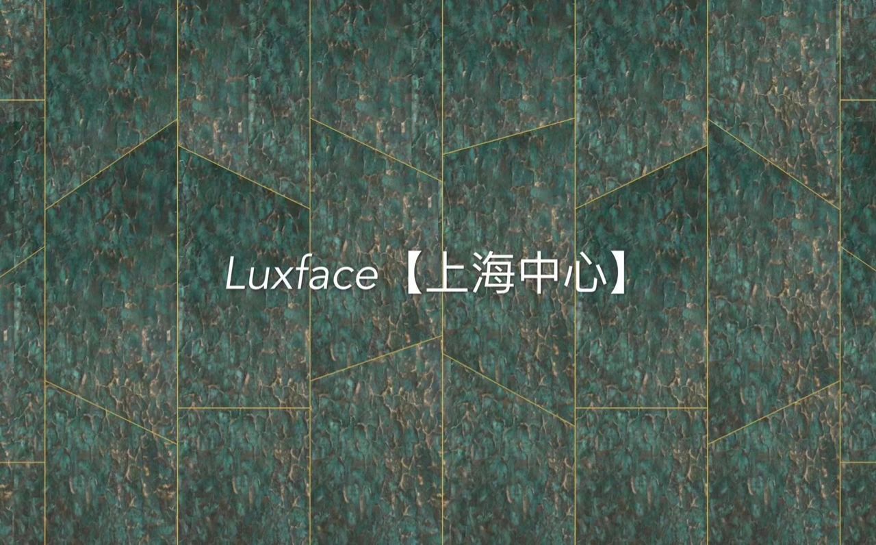 b1a85a4def7ee3dc52a5a33842c5b71c - Liquid metal wall design for Shanghai Tower Hotel