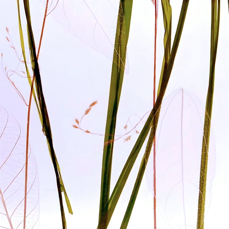 resize Luminous Neon Color 1 hd 1600px luxface.com