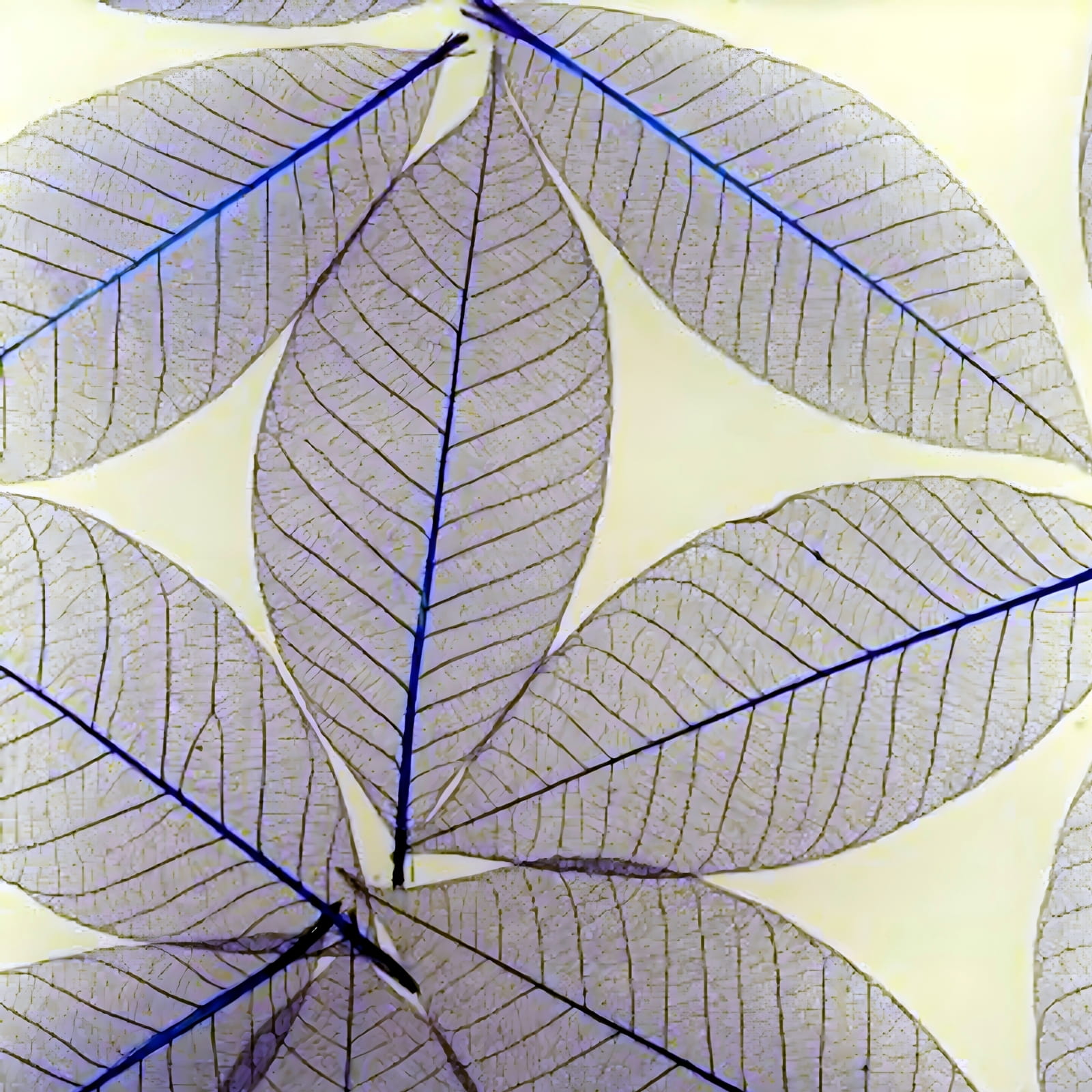 Luminous Neon Color Acrylic Sheet