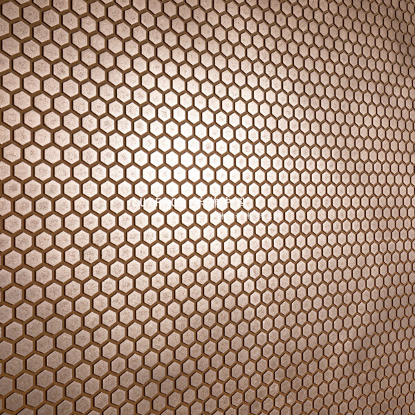 Hexagon 1