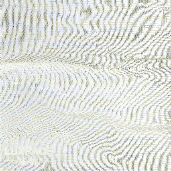 3DLux07 1